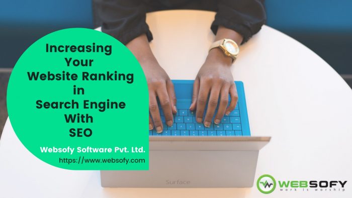 Increasing Your Website Ranking in Search Engine With SEO – Websofy