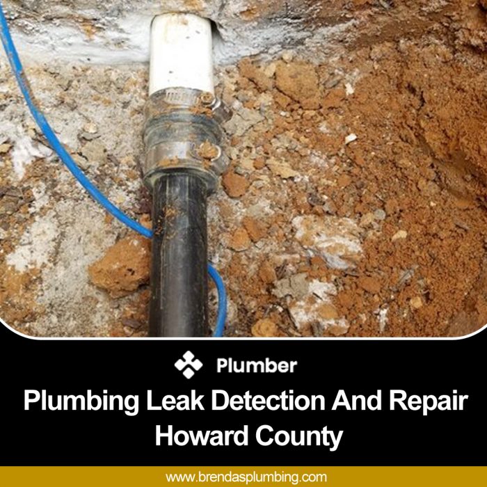 Choose Plumbing Leak Detection and Repair in Howard County