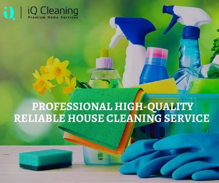 Professional High-Quality Reliable House Cleaning Service