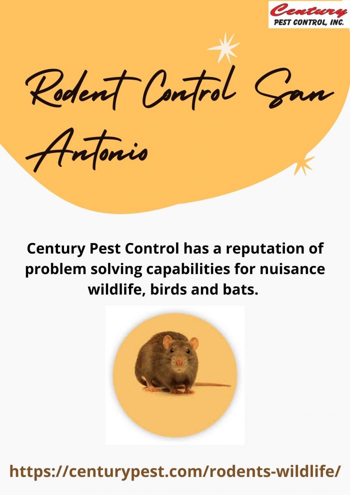 Rodent Control San Antonio – Century Pest Control