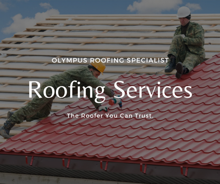 Olympus Roofing Specialist – Roofing Company That You Can Trust