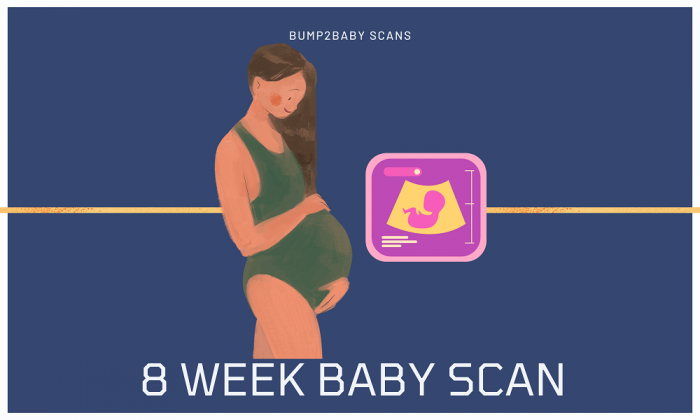 8 week baby scan | Bump2Baby Scans