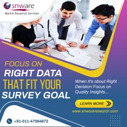 Top Data Processing by Snware Research