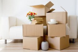 Hire For Successful Moving : Blue Beaver Movers