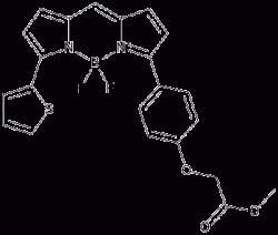 bodipy tr methyl ester