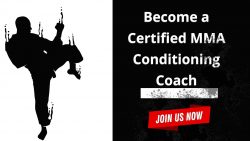 Learn Mixed Martial Art with Professionals