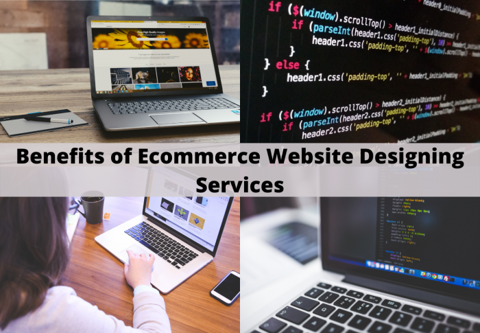 Ecommerce Web Designing Services