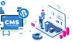 Advantages of WordPress for Website Development