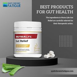 Best products for Gut Health | Quit Chronic Fatigue