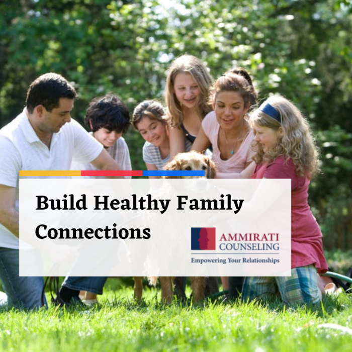 Build Healthy Family Connections
