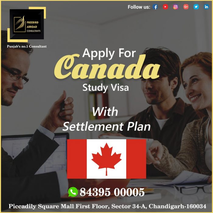 Canada Study Visa With Settlement Plan