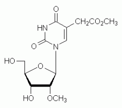 CAS 60197-31-1 5-Methoxycarbonylmethyl-2′-O-methyluridine – RNA / BOC Sciences