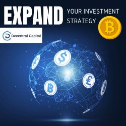 Comprehensive Crypto Investment Strategy