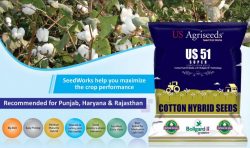 No.1 Cotton Seeds Company in India