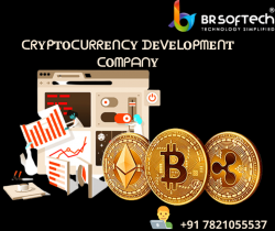 cryptocurrency development services