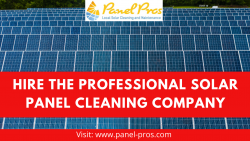 Hire the Professional Solar Panel Cleaning Company