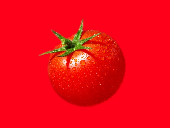 Learn More About Tomato Cultivation