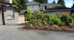 Landscaping Services in the Washington