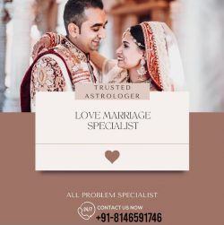Love Marriage Specialist +918146591746 Astrologer Marriage Life Solution