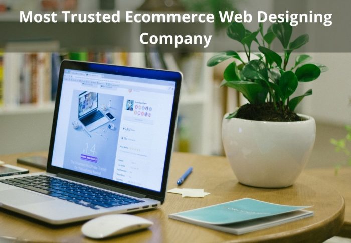 Most Trusted Ecommerce Web Designing Company