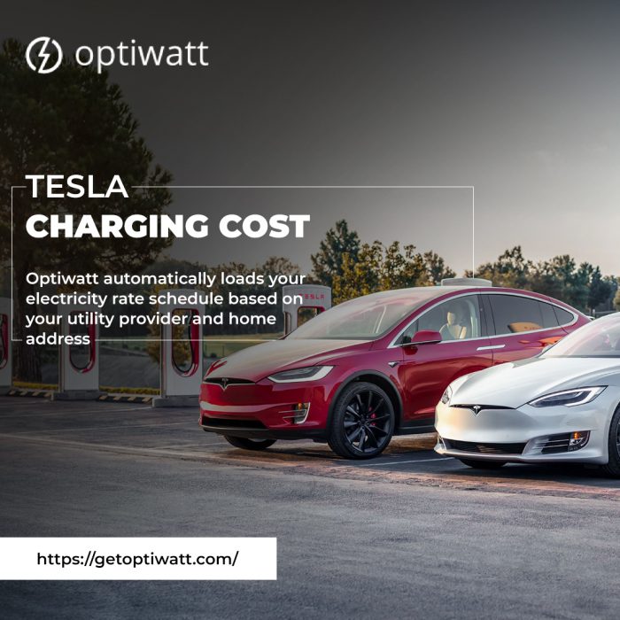 Tesla Charging Cost- Optiwatt