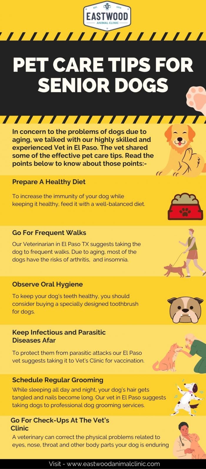 Pet Care Tips For Senior Dogs