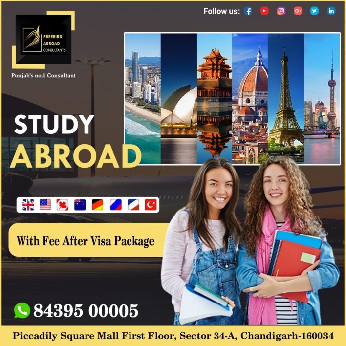 Plan Your Study Visa Abroad With Us