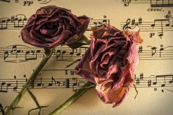 Nine of the most romantic pieces of classical music – Interlude