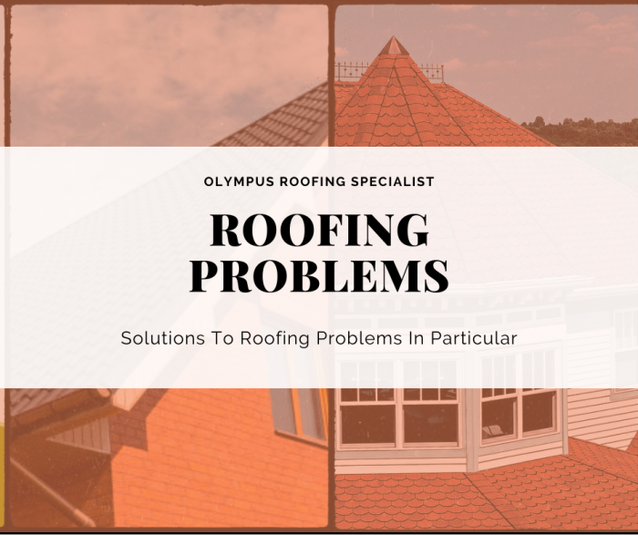 Solutions To Roofing Problems In Particular