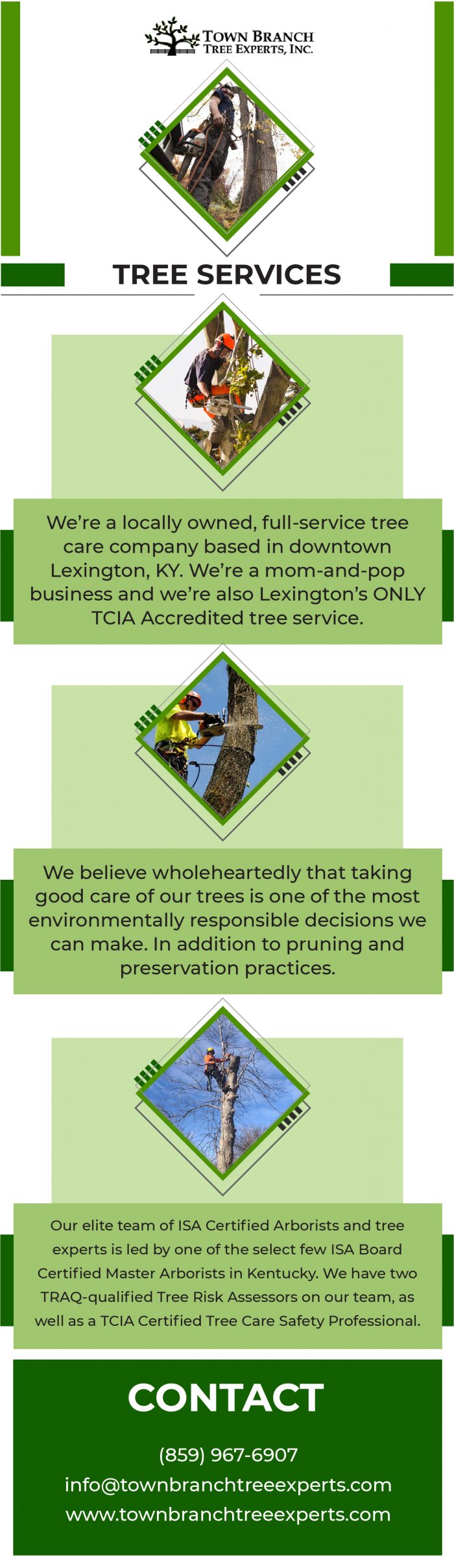 Top Most Tree Service in Lexington KY | Town Branch Tree Expert