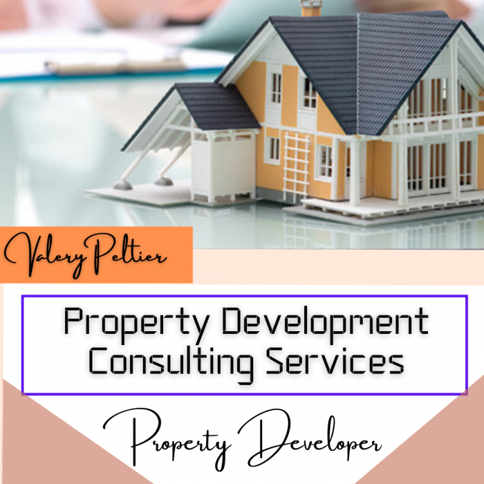 Valery Peltier – When to Hire Property Developers and Consultants?