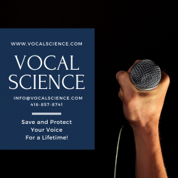 Get Professional Strategy For Vocal Improvement