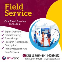 Top Global Field Service Provider In India