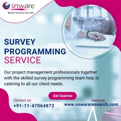 Survey Programming Services