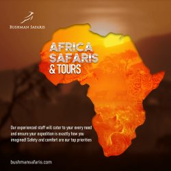 Take the Unforgettable Africa safaris and tours at Bushman Safaris