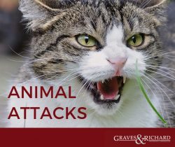 animal attacks Injury Lawyers