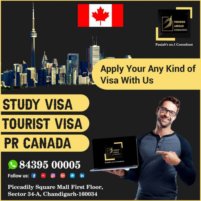 Apply Your Any Kind of Visa With Us