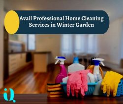 Avail Professional Home Cleaning Services in Winter Garden
