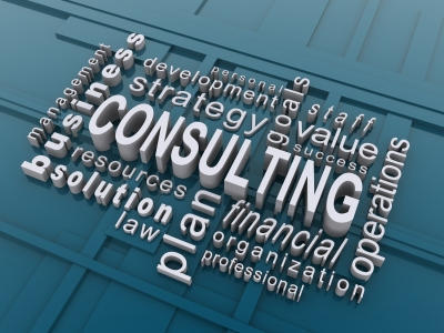 Guide to Working With Business Consultant