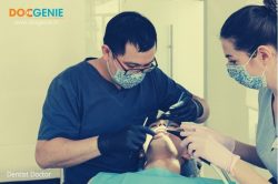 Best Dental Clinic in Delhi | Dentist Doctor