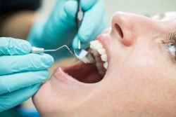 Gary Anusavice – Experience Dentist In North Kingstown