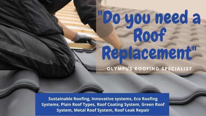 Do You Need A Roof Replacement?