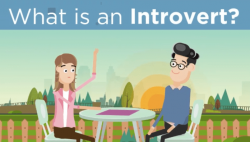Everything About Introvert