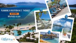 Find the Right Vacation Advisor in Virgin Islands