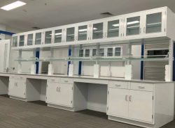 Types of chemical fume hoods