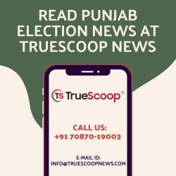 Read Punjab Election News at TrueScoop News