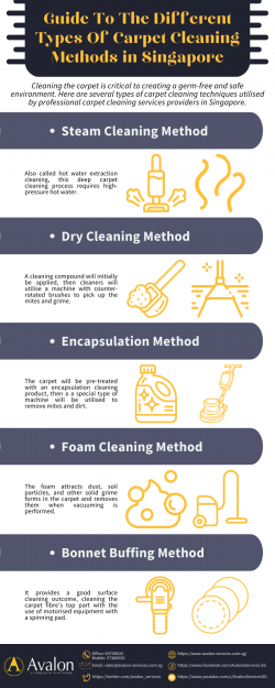 Guide To The Different Types Of Carpet Cleaning Methods in Singapore