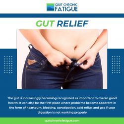 Gut Relief- Quit Chronic Fatigue
