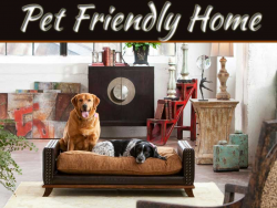 How to create a Pet-Friendly Home By Julian Brand