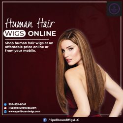 Human Hair Wigs Online